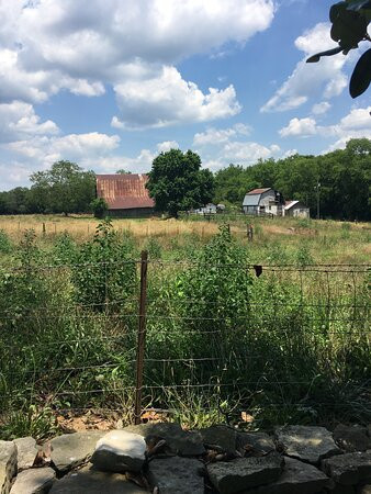 The Hopestead Bed & Breakfast主图