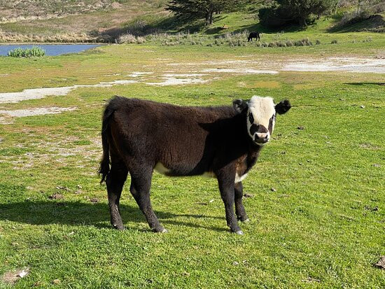 Drakes Estero-Inverness必去景点