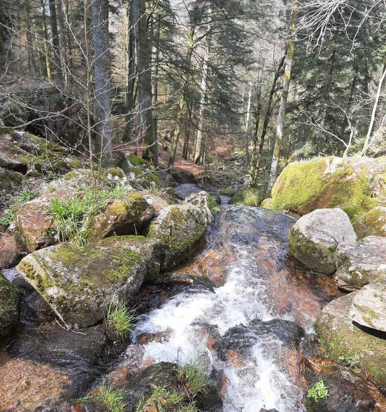 Cascade de la Serva