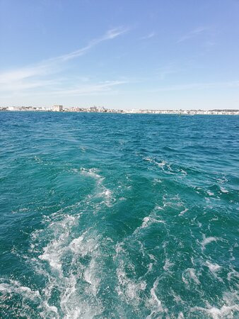 Sasa Sub Diving Center-切萨雷奥港必去景点