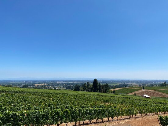 Winderlea Vineyard and Winery-Dundee必去景点