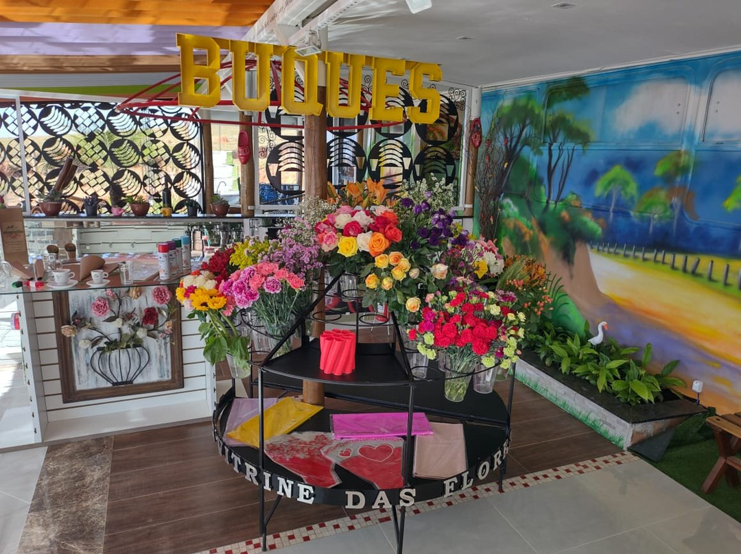 Park Vitrine Das Flores-塞拉内格拉必去景点