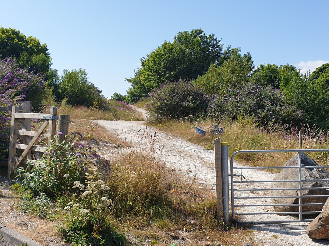 Layde Walk