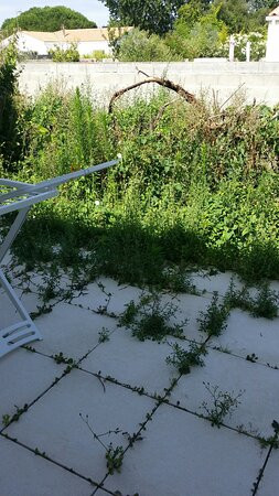 Hotel Residence Les Alizes主图