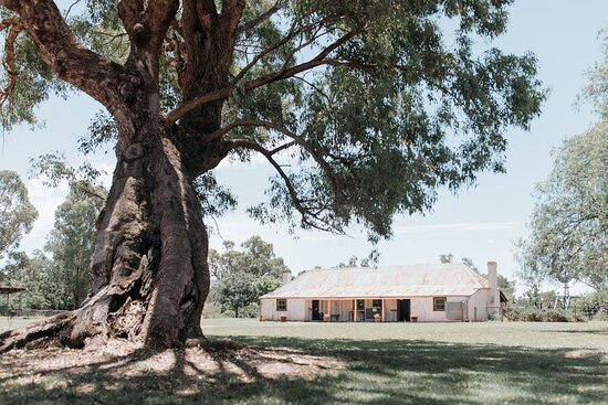 Dundullimal Homestead-达博必去景点
