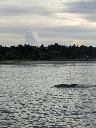 Waterbug Tours-Beaufort必去景点