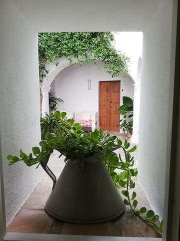 Siete Balcones y un patio主图