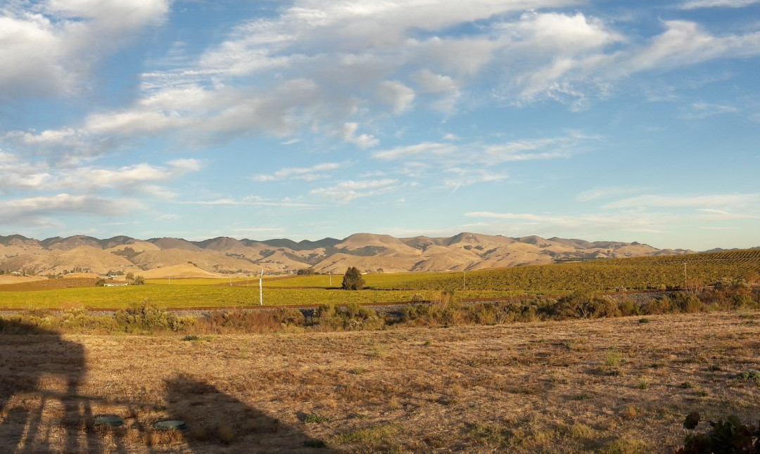 Autry Cellars-圣路易斯-奥比斯波必去景点