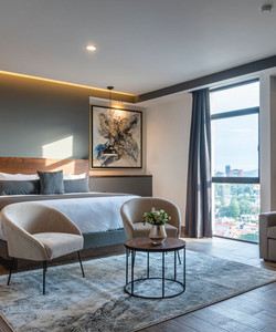 Hotel Gumont Guadalajara酒店图片
