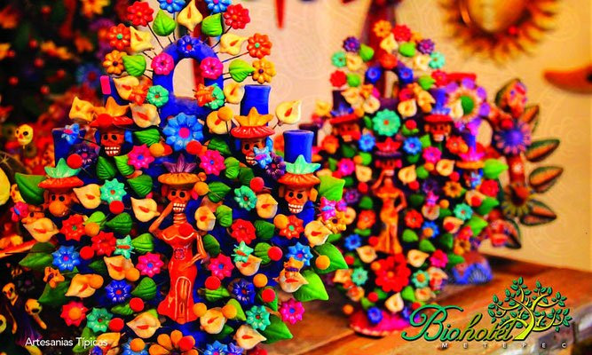 Biohotel Metepec主图