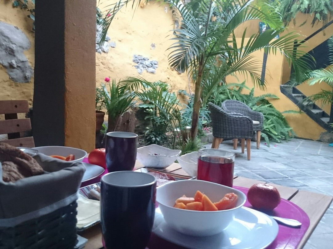 Casa La Moringa