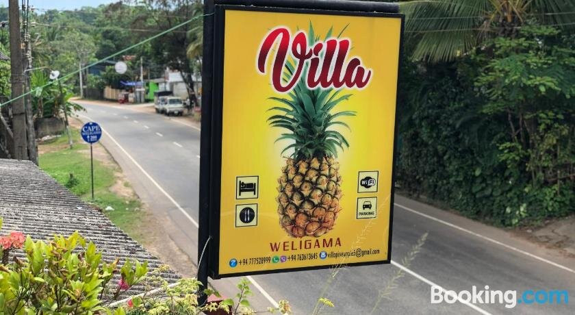 Pineapple Villa