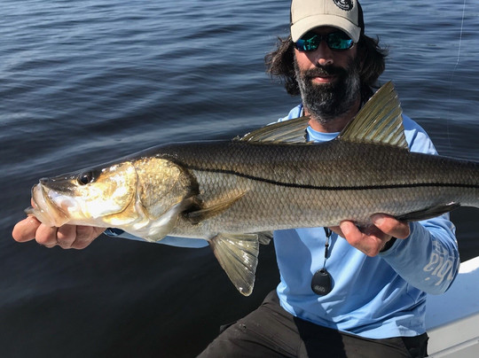 Anclote Adventures-塔彭斯普林斯必去景点