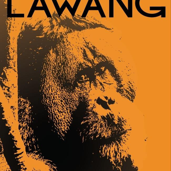 Bukitlawangtour-武吉拉旺必去景点
