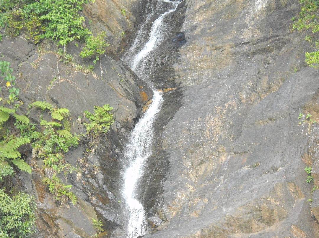Kadambi Falls景点图片