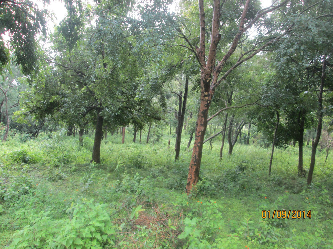 Attapadi Reserve Forest
