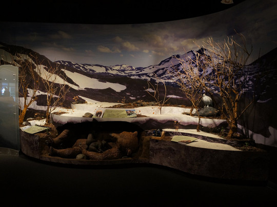 Akhiok旅游攻略图片