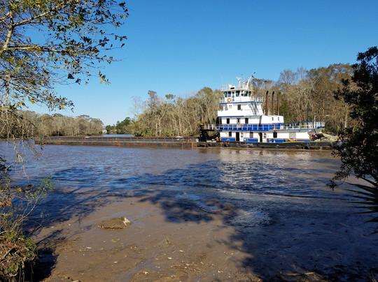 Abbeville旅游攻略图片