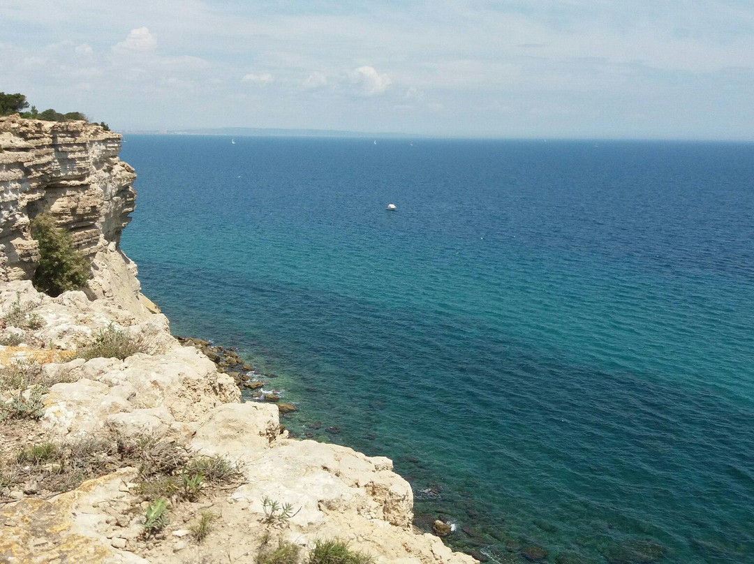 La Franqui旅游攻略图片