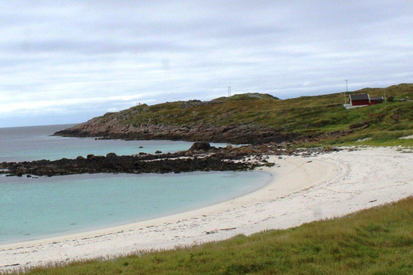 Nautneset