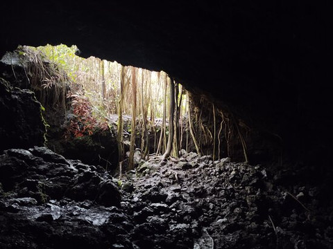 Maui Tour Company-芭雅必去景点
