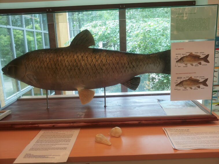 Lake Museum Akva: rium景点图片
