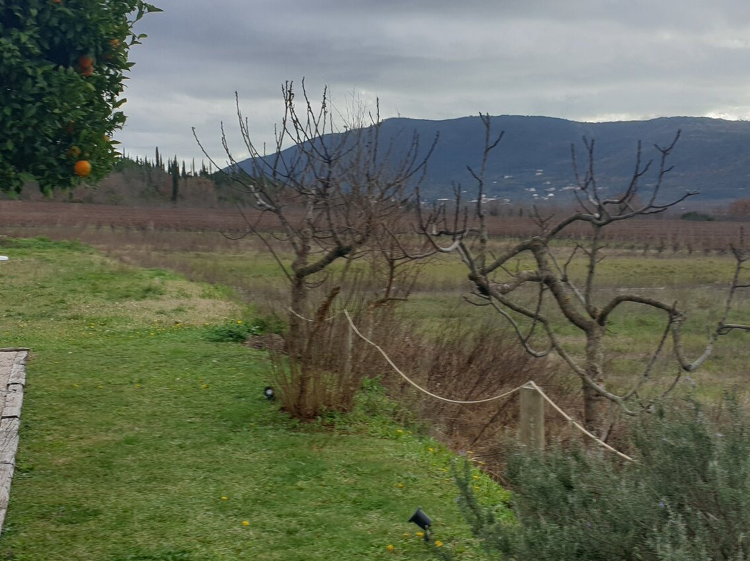 Karaman Winery景点图片