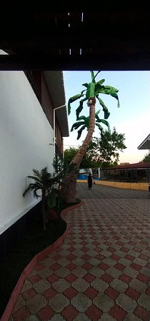 Dolphin Planet Hotel &SPA主图