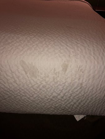 美国长住酒店-芝加哥-奥黑尔-全州竞技场主图