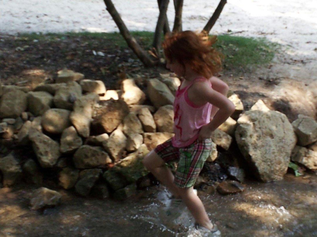 Willow Springs Park-约翰逊城必去景点