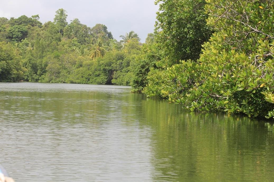 Madu River Safari by Buddhi-巴拉碧提雅必去景点