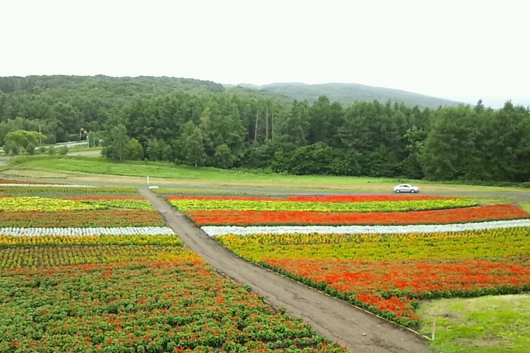Abashiri  Lakeview Ski Resort-网走市必去景点
