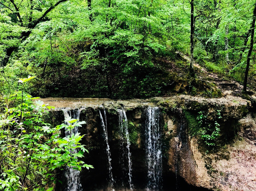 Woodville旅游攻略图片