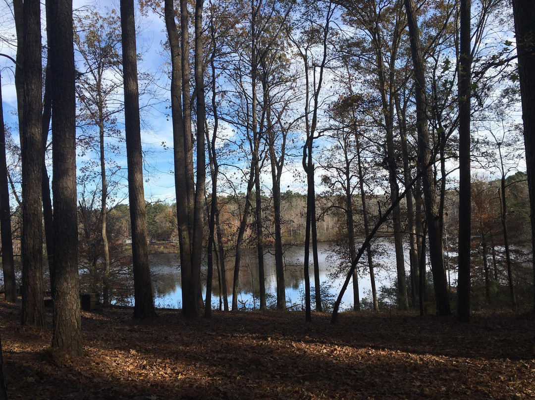 Henderson旅游攻略图片