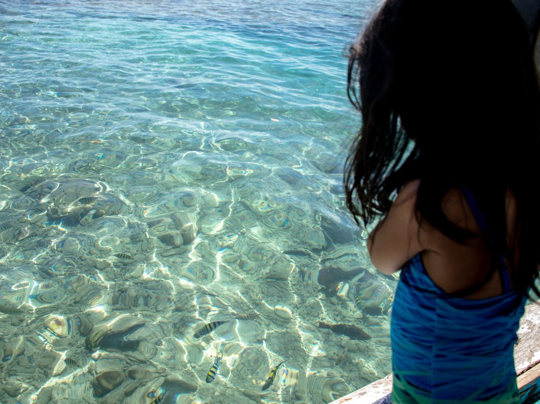 null-西巴厘岛国家公园