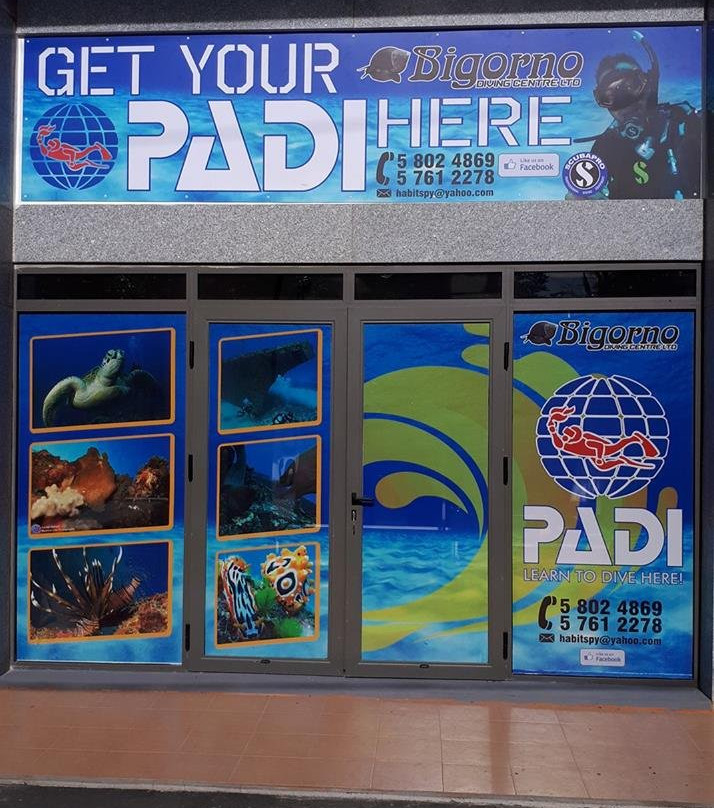 Bigorno Diving Center Mauritius-卓欧毕雪必去景点