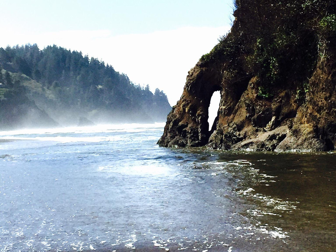 Premier RV Resort of Lincoln City Oregon