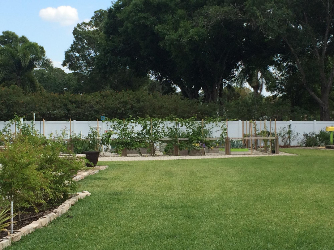 Miss Potter's Place-迈尔斯堡必去景点