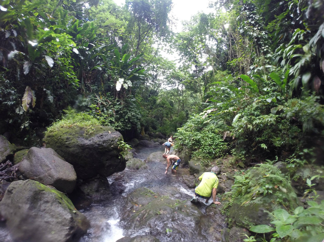 Tropical Adventures景点图片