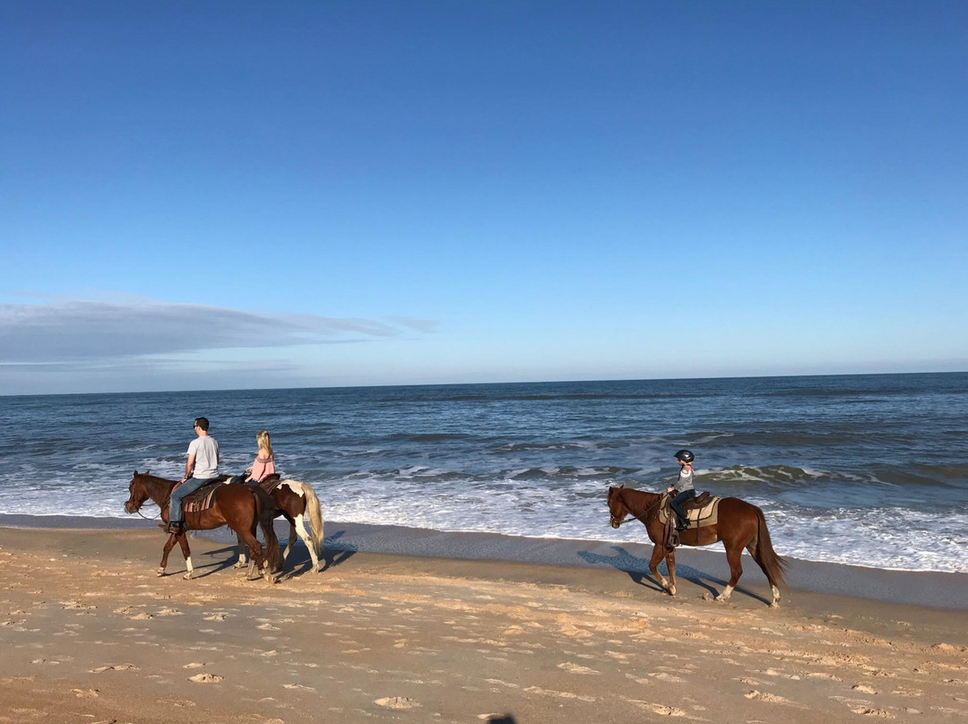 Equestrian Adventures of Florida景点图片