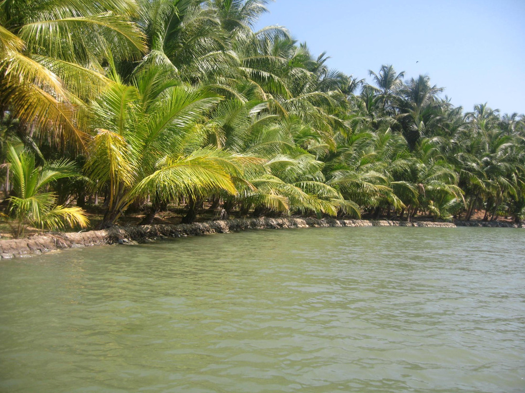 Valiyaparamba Backwaters景点图片