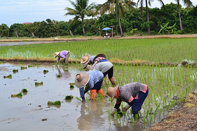 Go With Joe-清迈必去景点