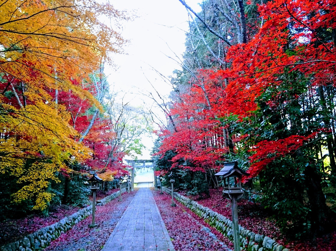 Higaimoto Hachiman Shrine景点图片