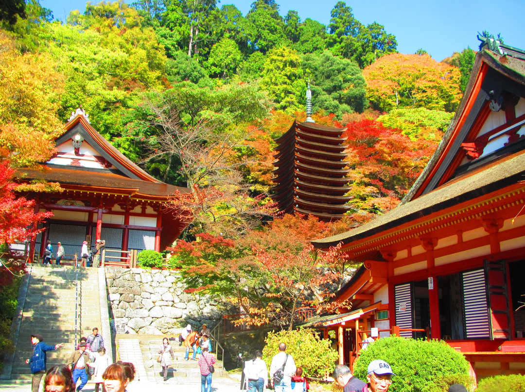 Tanzan Shrine景点图片