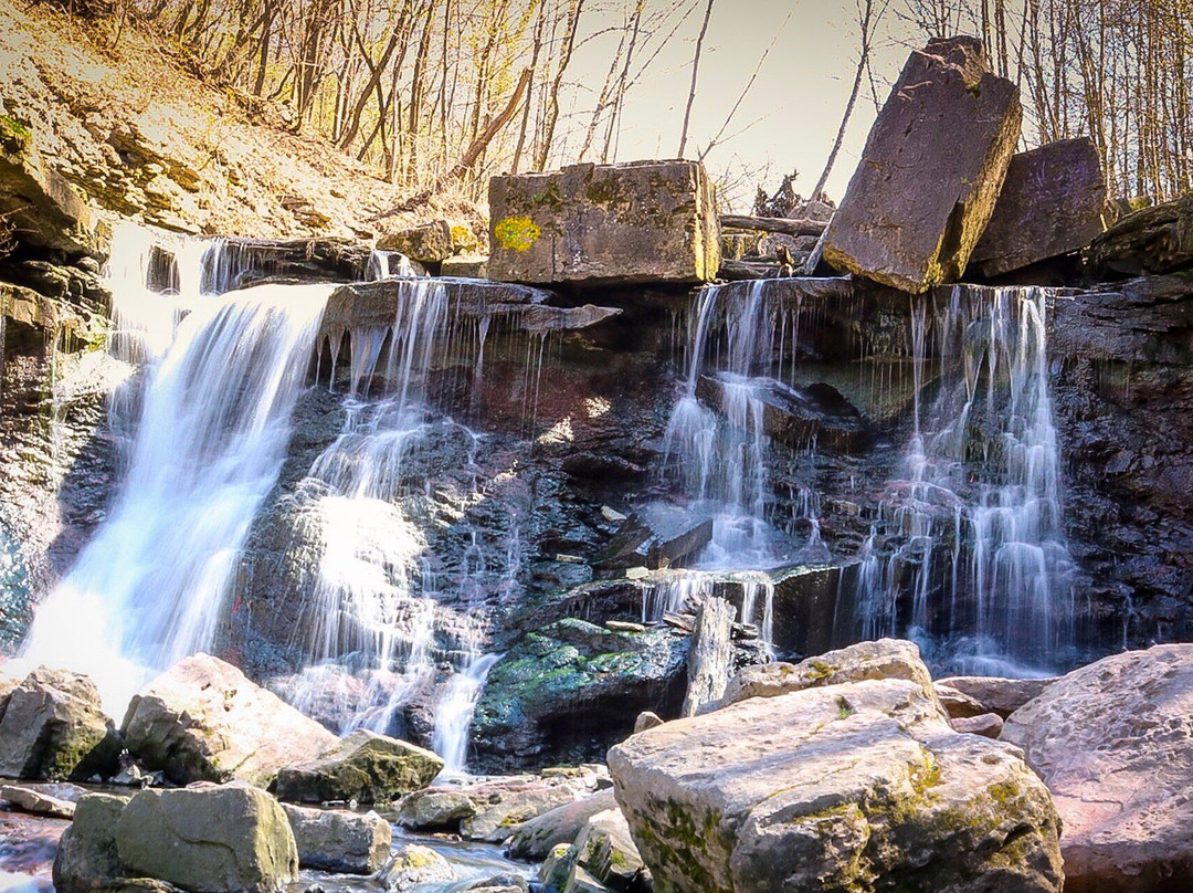 Chedoke Falls景点图片