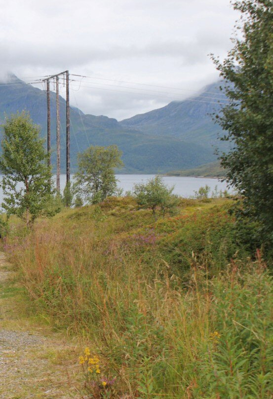 Husjordøya景点图片