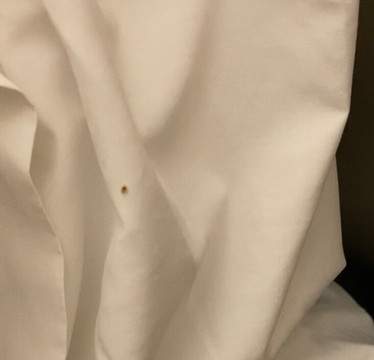 哥伦布机场东卡尔森乡村套房旅馆主图