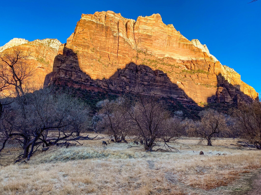 Grotto Trail-锡安国家公园必去景点