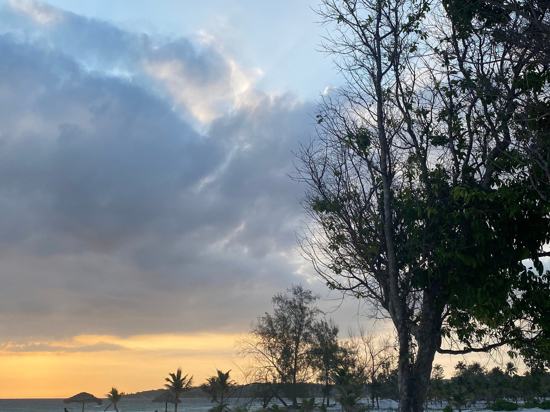 The Secret Garden Koh Rong主图