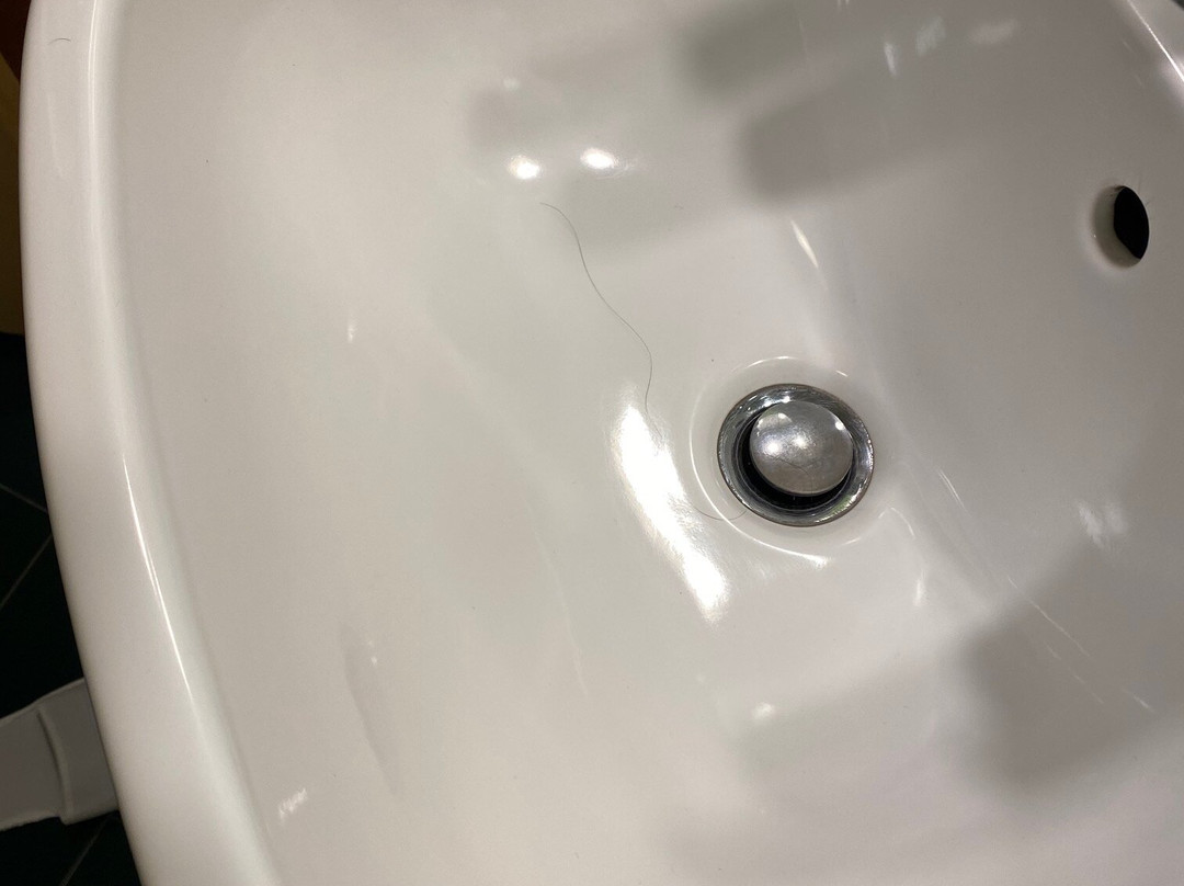 贝斯特韦斯特戴尔玫瑰酒店主图